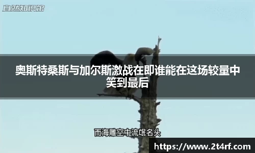 南宫NG·28